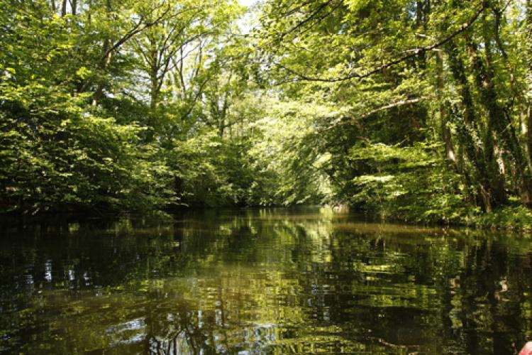 „Kiel ist das München des Nordens, nur ohne Spießer“